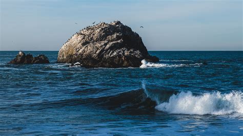 Ilustración de una mariscadora en su entorno natural, con el mar y las rocas al fondo
