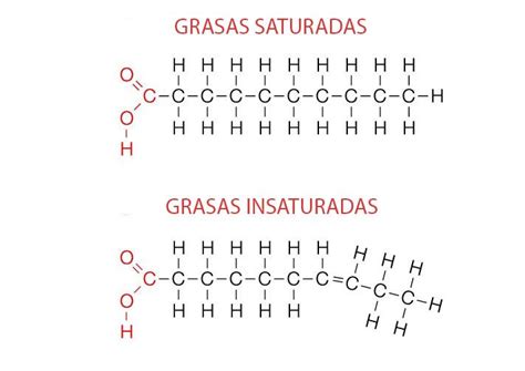 Esquema comparativo de la estructura molecular de grasas saturadas e insaturadas