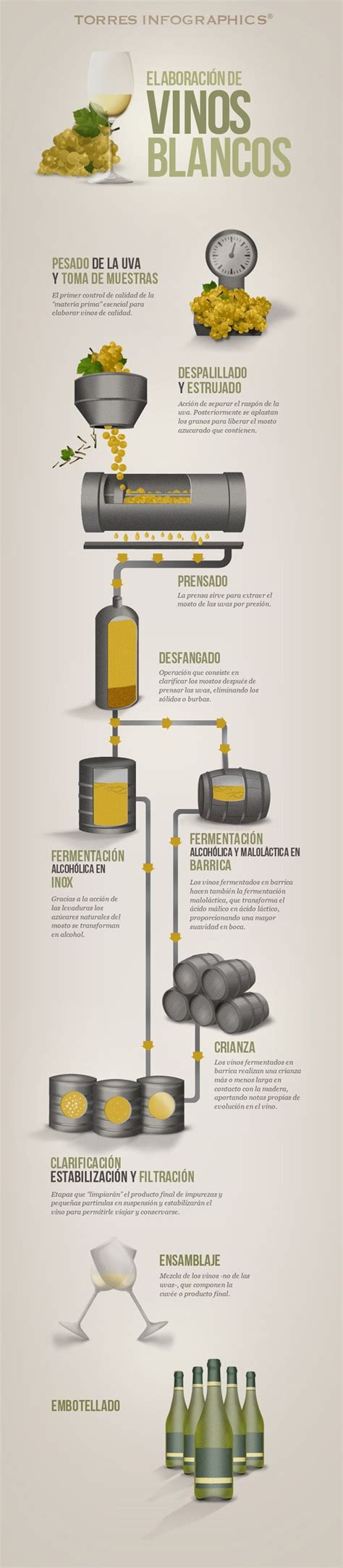 Infografía: Proceso de elaboración del surimi/kanikama
