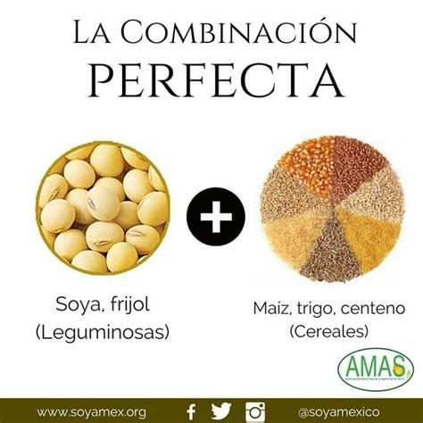 Esquema de complementariedad proteica: combinación de legumbres y cereales para obtener un perfil completo de aminoácidos