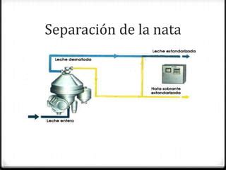 Esquema visual del proceso de batido de la nata: separación de la grasa (mantequilla) y el suero de leche.