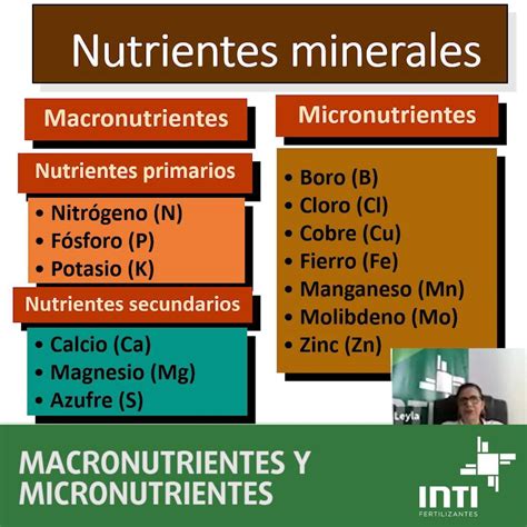 Gráfico comparativo del contenido de agua y macronutrientes en una manzana fresca.