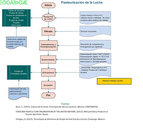 Diagrama del proceso de pasteurización de huevos al vacío.