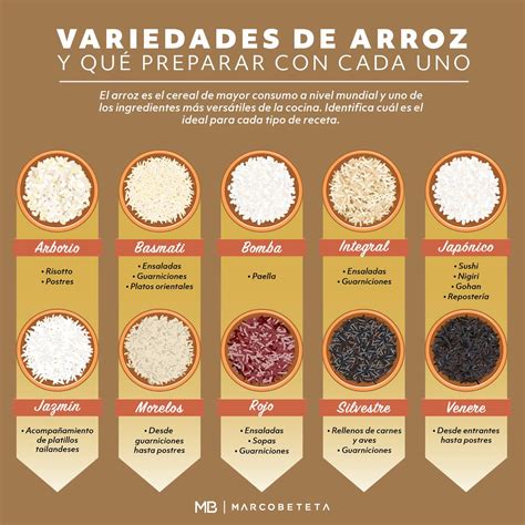Infografía comparativa: Arroz de grano largo vs. grano corto y sus características agronómicas.