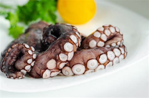 Imagen de un pulpo fresco listo para cocinar