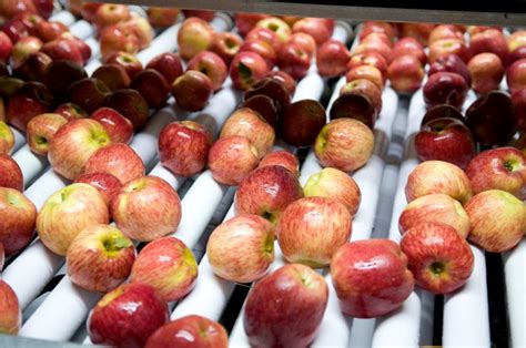 Manzanas brillantes y enceradas en un supermercado, destacando su aspecto comercial