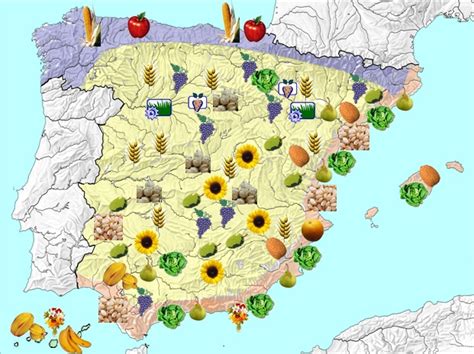 Mapa de las principales zonas de cultivo de bimi en España