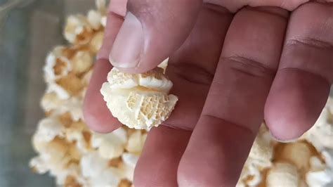 comparación visual de palomitas tipo mariposa y tipo hongo