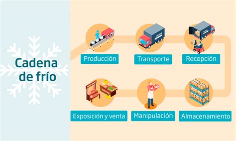 Esquema de la cadena de frío en la producción de carne