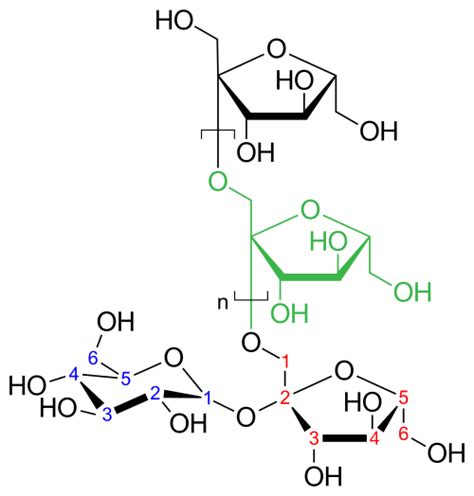 Infografía: Estructura molecular de fructanos y cómo el cuerpo los procesa