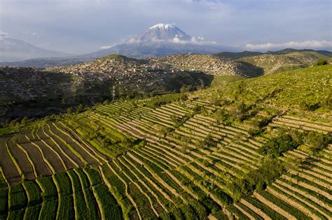 Ilustración o fotografía de terrazas agrícolas en un valle andino