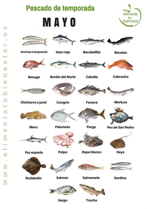 Esquema: Lista de pescados recomendados por su baja presencia de espinas y sabor suave ideal para paladares infantiles.