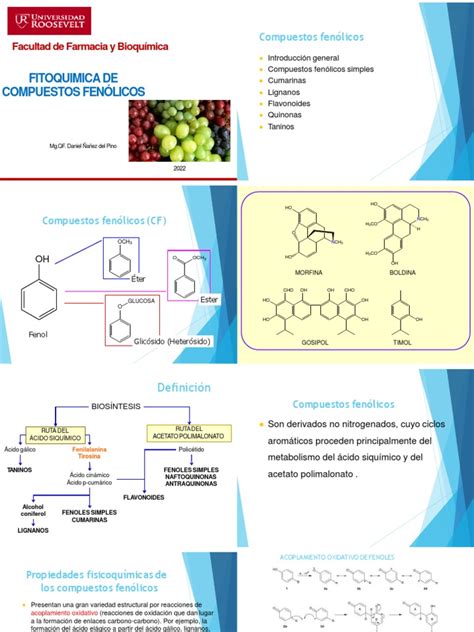 Esquema nutricional del membrillo: fibra, potasio, taninos y compuestos fenólicos