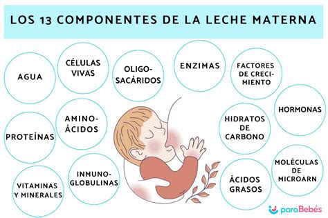 Esquema sobre la composición nutricional de la leche materna y su adaptación a las necesidades del bebé en crecimiento
