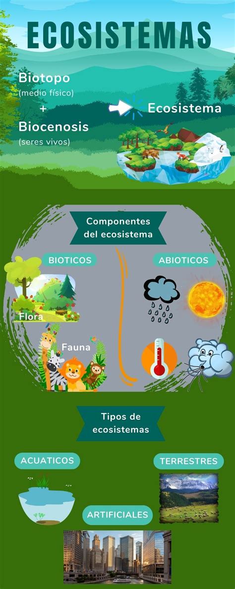 Infografía sobre el impacto de salmones exóticos en el ecosistema marino local