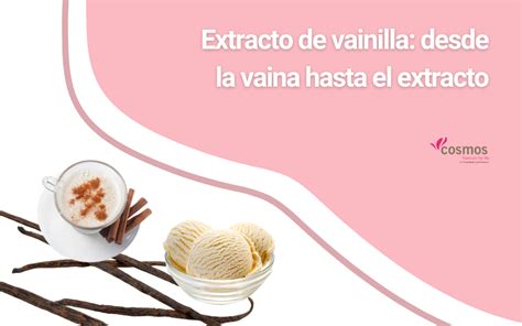 Infografía mostrando la diferencia entre vainilla en vaina, extracto y pasta