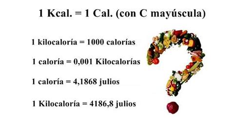 Infografía: Qué son las kilocalorías y su función en el cuerpo