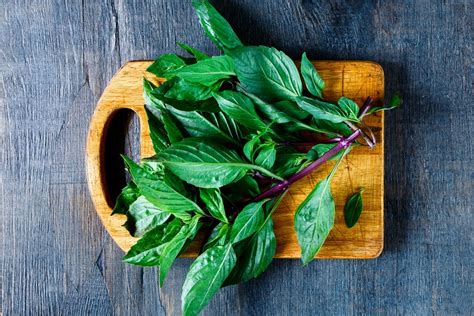 Esquema de los ingredientes frescos: cilantro, menta, albahaca tailandesa, lima y chile.