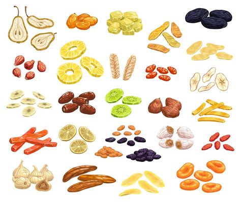 Ilustración de frutas confitadas, frutos secos y especias para el Pan de Pascua