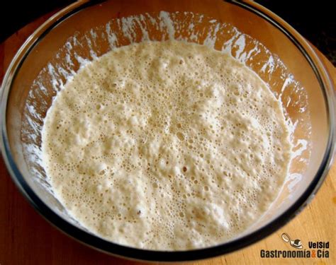 Foto de un pre-fermento (poolish) activo y burbujeante, listo para usar
