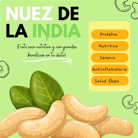 Infografía sobre los beneficios nutricionales de la nuez de la India