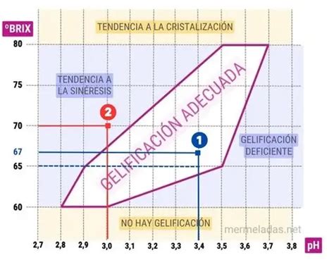 diagrama explicando el proceso de gelificación de la pectina en mermeladas