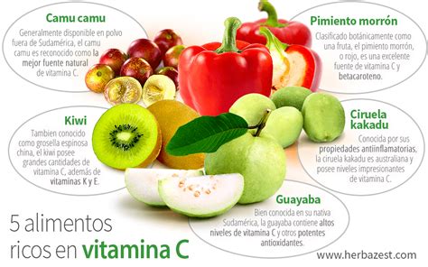 Infografía: alimentos vegetales ricos en sílice y vitamina C para la producción de colágeno