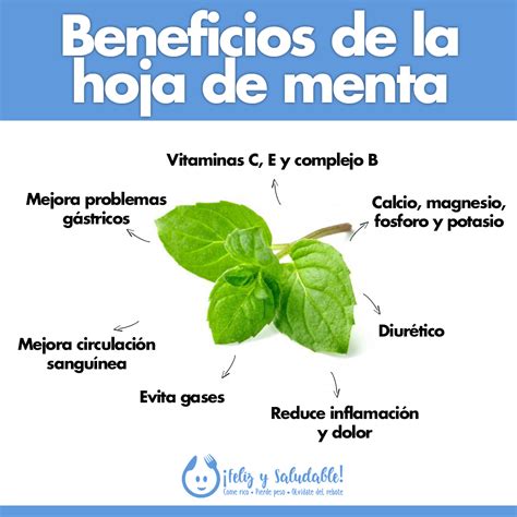 Esquema de los beneficios del limón y la menta