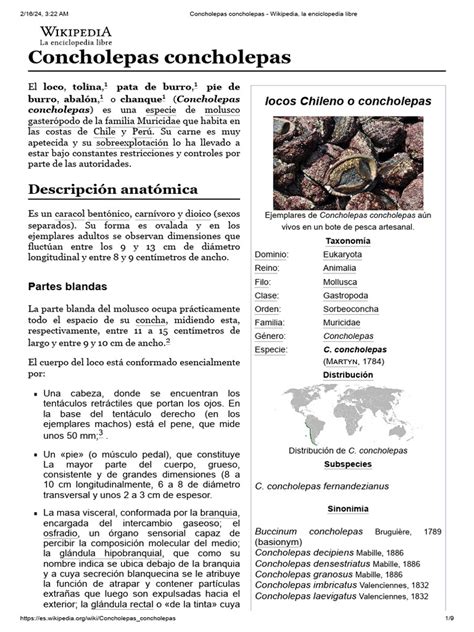 Esquema descriptivo del hábitat y morfología del loco chileno