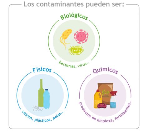 Infografía: Tipos de levaduras contaminantes y los alimentos que suelen afectar
