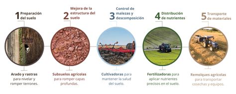 secuencia de imágenes mostrando los pasos clave de la preparación del arroz primavera