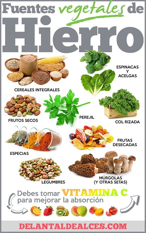Esquema de alimentos vegetales ricos en hierro y vitamina C
