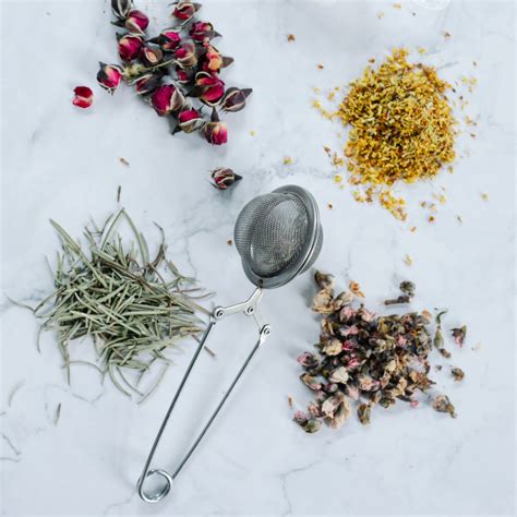Esquema de tipos de preparaciones de hierbas medicinales (infusión, decocción, maceración)