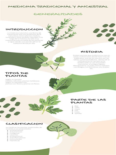 Infografía sobre interacciones de hierbas medicinales con medicamentos comunes