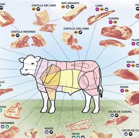 diagrama mostrando la veta de la carne en un corte grande