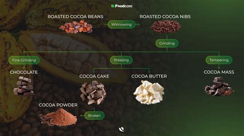 Esquema que muestra el proceso desde el haba de cacao hasta los diferentes tipos de chocolate (pasta, manteca y sólidos).
