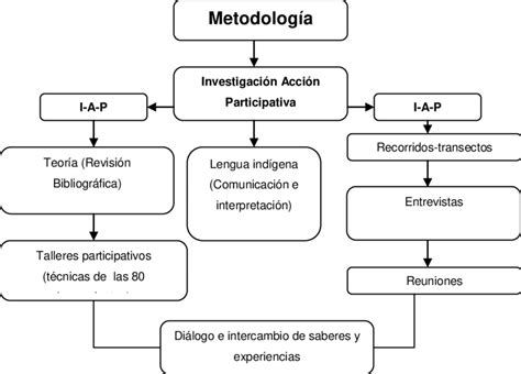 Esquema de la metodología del proyecto InterConnect mostrando la integración de datos de diversas cohortes