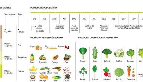 Calendario visual de siembra: Indicando los meses ideales de octubre a febrero para el hemisferio norte.