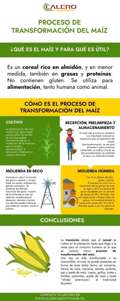 esquema del proceso de inflado del maíz para hacer tortitas