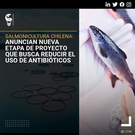 Gráfico mostrando la evolución del uso de antibióticos en la salmonicultura chilena en los últimos años.