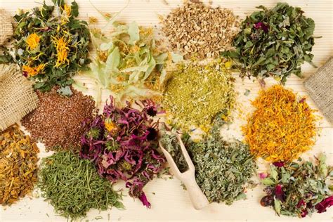 Foto de diferentes hierbas medicinales secas para cosmética