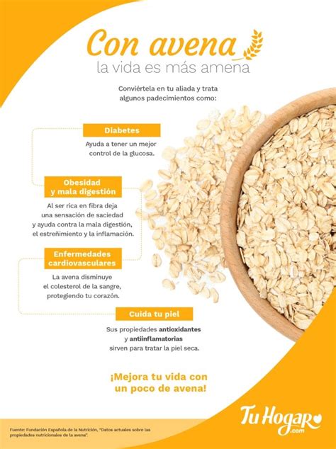 Infografía: Beneficios de la avena para la salud digestiva, destacando sus propiedades para el sistema gastrointestinal