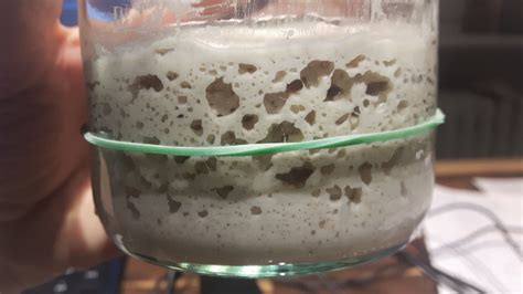 Imagen de una masa madre sin gluten activa, llena de burbujas en un tarro de cristal.