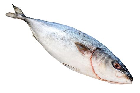 Un jurel fresco y entero sobre una superficie de madera, resaltando su color y textura.