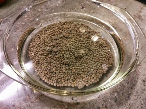 Foto de lentejas secas y en remojo, con un énfasis en el agua fría