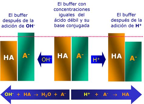 Esquema de una solución buffer mostrando un ácido débil y su base conjugada