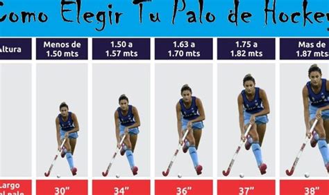 Esquema o fotografía detallada de un palo chochoquero con medidas