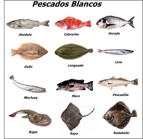Diferentes tipos de pescado blanco para ceviche