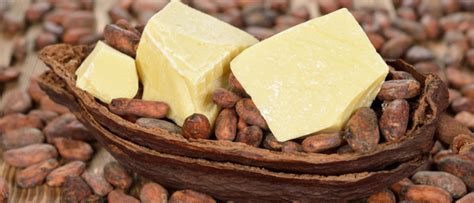 infografía sobre los usos versátiles de la manteca de cacao en cosmética y cocina