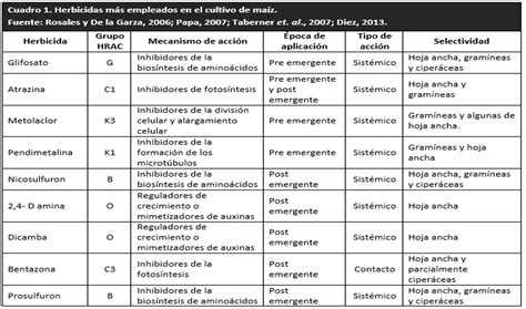 tabla comparativa de herbicidas y sus resultados en ensayos de campo para cebolla